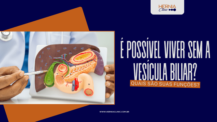 Profissional de saúde aponta modelo anatômico do fígado e vesícula biliar, demonstrando estruturas do sistema digestivo.